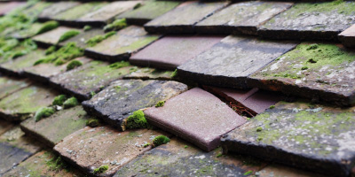 Tintern roof repair costs